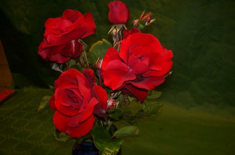 Sympathié Sympathié