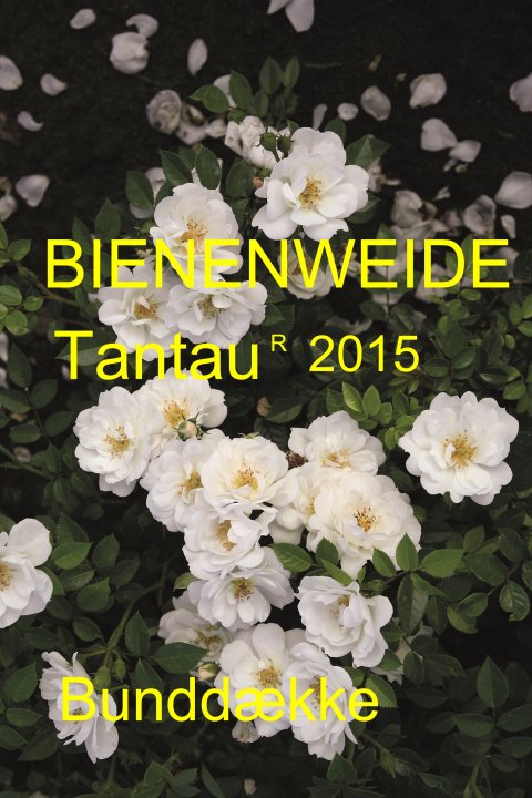 Ashley® Tantau 2014