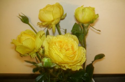 Marselisborg Marselisborg